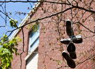 garver-shoe-trees